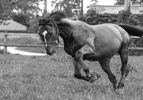 特許戦略の初歩 vol.2